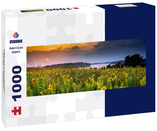 Noah Jigsaw Puzzle Wildflowers at sunset over the lake in Minnesota panorama 1000 pieces