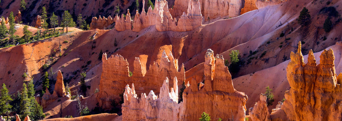 Noah Jigsaw Puzzle Bryce Canyon National Park in Utah, one of the most beautiful national parks in the world panorama 1000 pieces