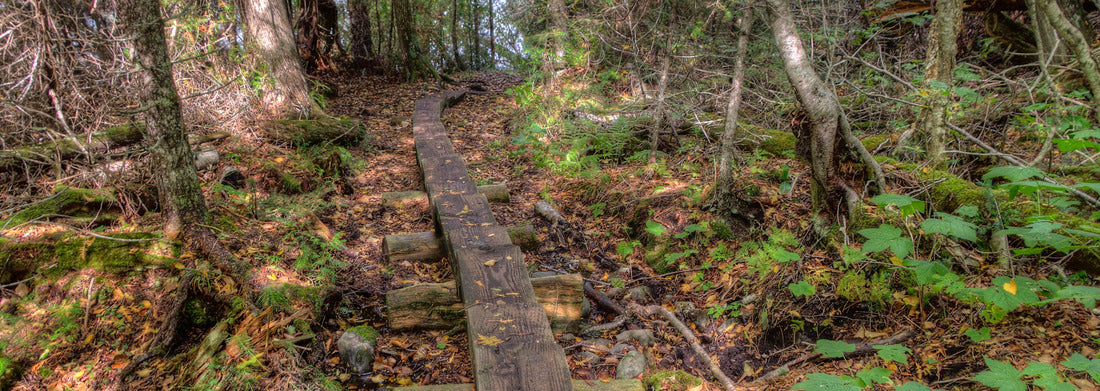Noah Jigsaw Puzzle Isle Royale National Park is an Isolated Island in Lake Superior between Minnesota and Michigan panorama 1000 pieces