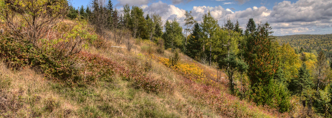 Noah Jigsaw Puzzle Isle Royale National Park is an Isolated Island in Lake Superior between Minnesota and Michigan panorama 1000 pieces