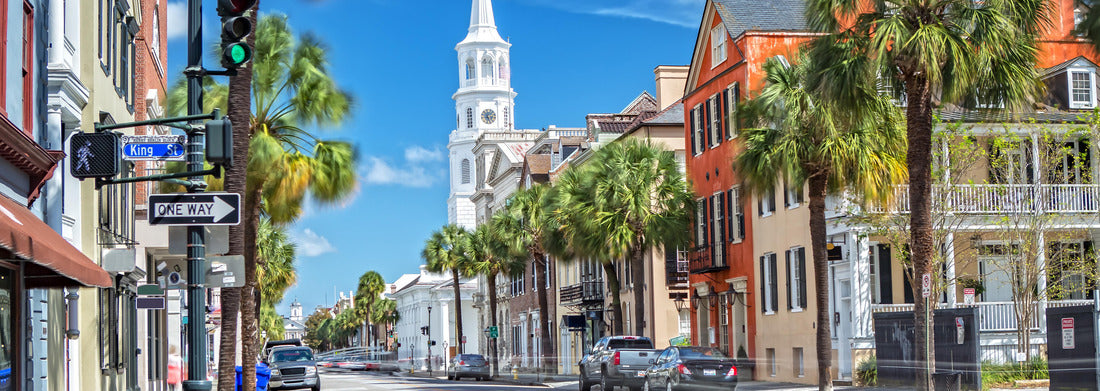 Noah Jigsaw Puzzle St. Michaels Church and Broad St. in Charleston, SC panorama 1000 pieces