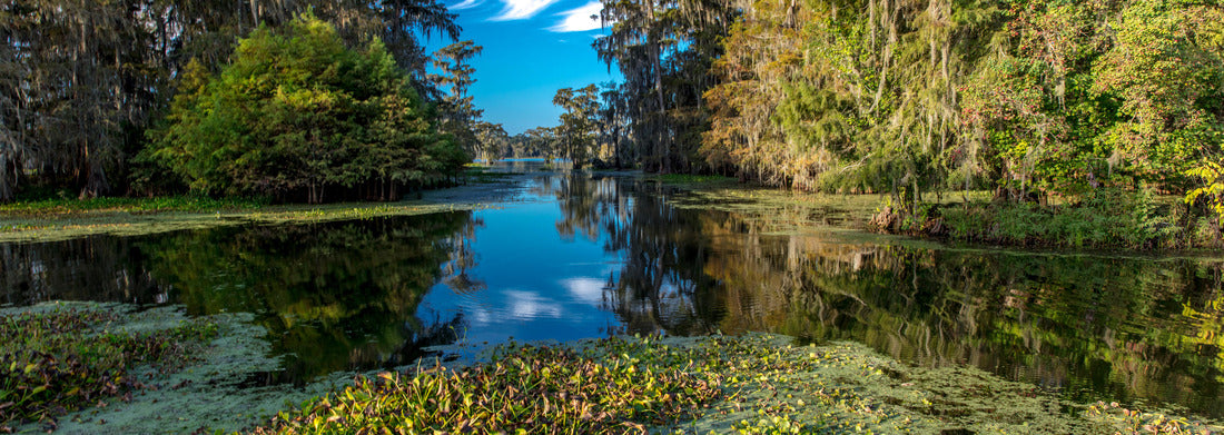 Noah Jigsaw Puzzle Lafayette, Louisiana, USA - Cajun Swamp & Lake Martin, near Breaux Bridge and Lafayette Louisiana panorama 1000 pieces