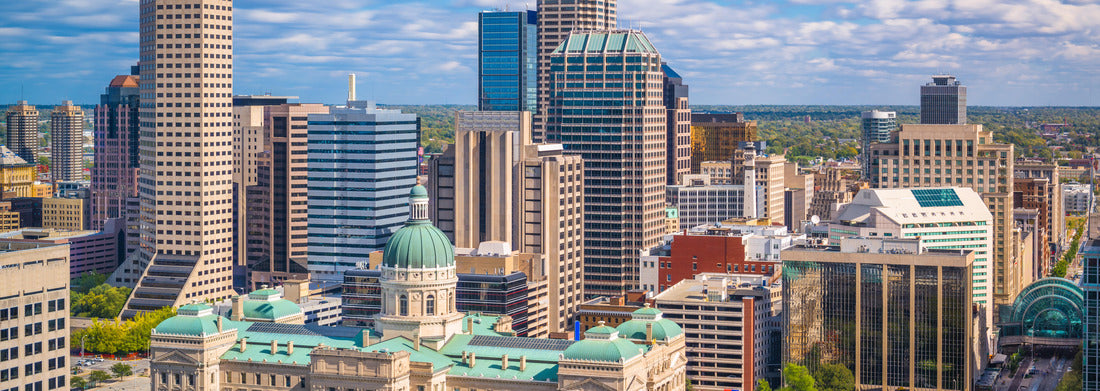 Noah Jigsaw Puzzle Indianapolis, Indiana, USA downtown city skyline with the State House in the afternoon panorama 1000 pieces