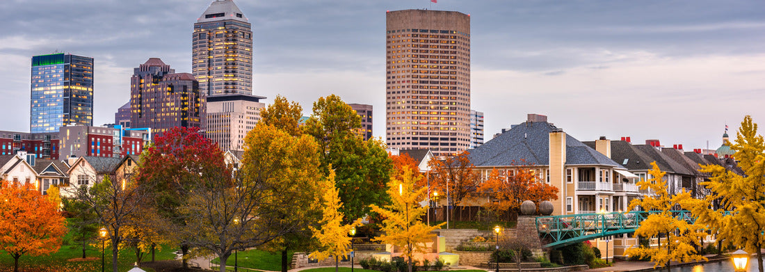 Noah Jigsaw Puzzle Indianapolis, Indiana, USA downtown cityscape on the White River at dusk panorama 1000 pieces