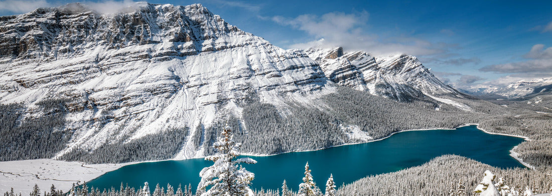 Noah Jigsaw Puzzle Peyto Lake with reflection in Banff National Park, Canada panorama 1000 pieces