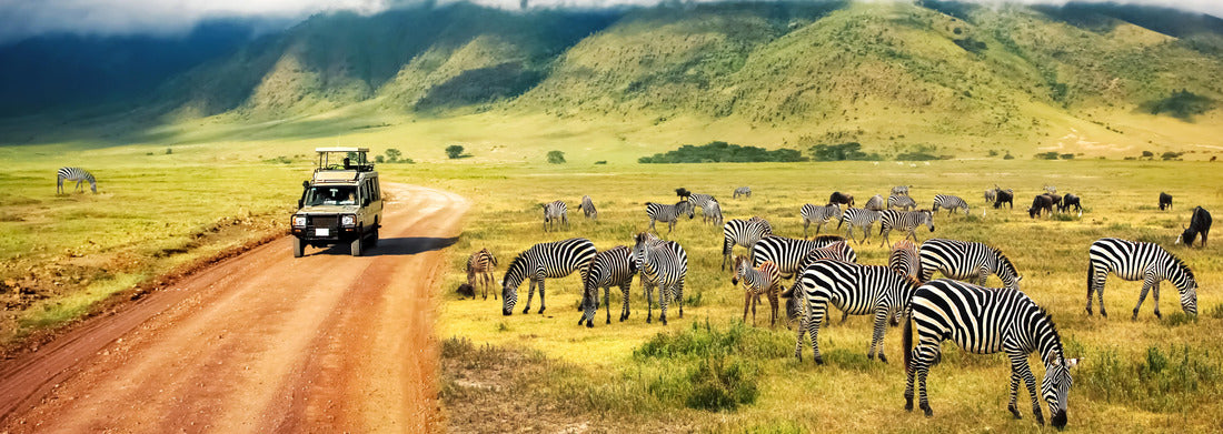 Noah Jigsaw Puzzle The wild nature of Africa. Zebras on mountains and clouds. Safari in the Ngorongoro Crater National Park. Tanzania panorama 1000 pieces