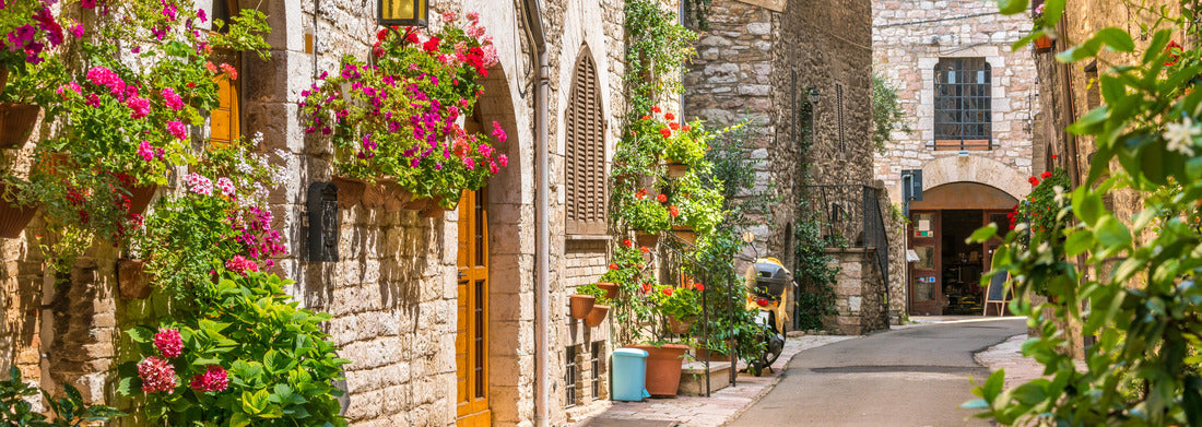 Noah Jigsaw Puzzle A picturesque view in Assisi. Province of Perugia, Umbria, central Italy panorama 1000 pieces