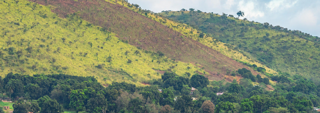 Noah Jigsaw Puzzle Ubangi River, village in the Central African Republic on the Ubangi River panorama 1000 pieces