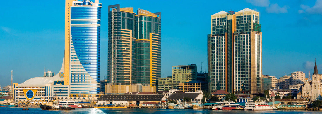 Noah Jigsaw Puzzle Dar Es Salaam City panorama 1000 pieces