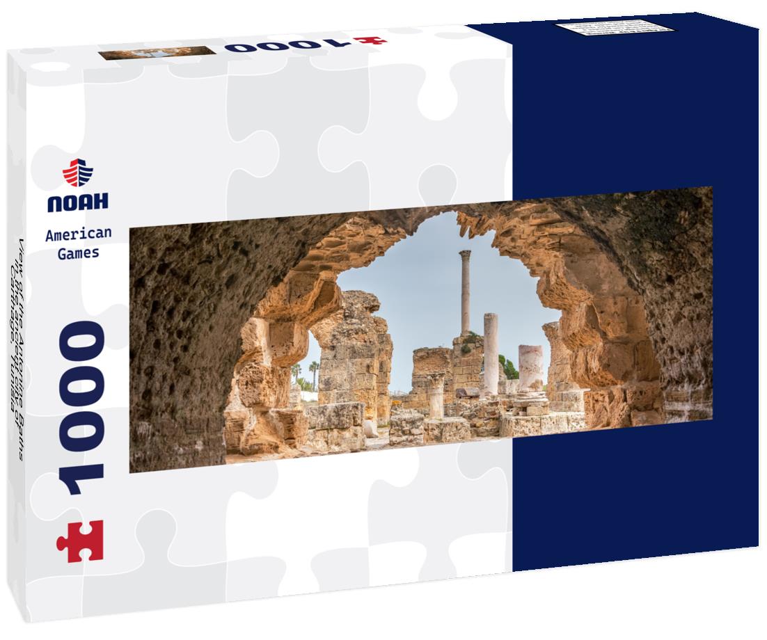 Noah Jigsaw Puzzle View of the Antonine Baths in the ancient city of Carthage, Tunisia panorama 1000 pieces