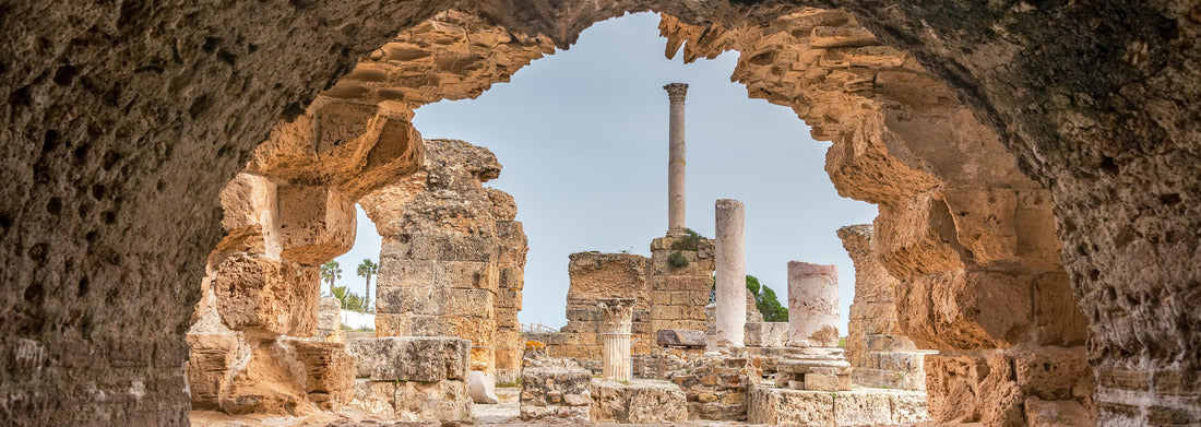 Noah Jigsaw Puzzle View of the Antonine Baths in the ancient city of Carthage, Tunisia panorama 1000 pieces