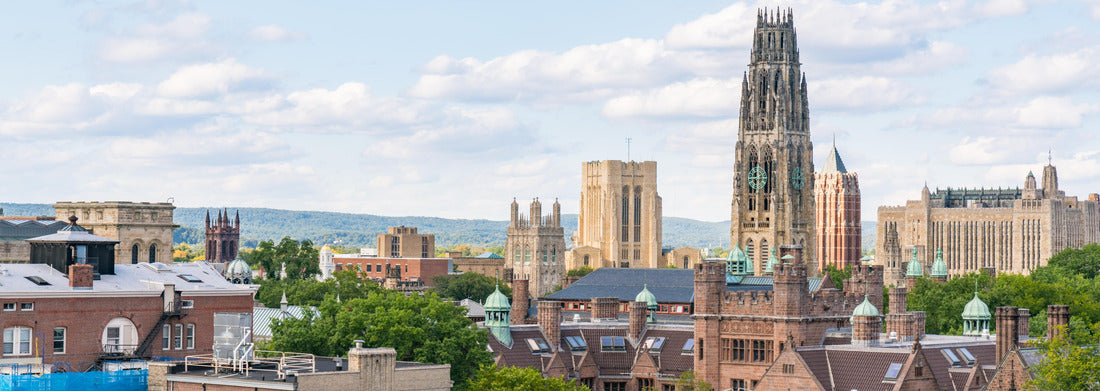 Noah Jigsaw Puzzle City skyline of New Haven, Connecticut panorama 1000 pieces