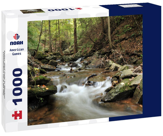 Noah Jigsaw Puzzle Indian Well Falls in Shelton, Connecticut on a fall day 1000 pieces