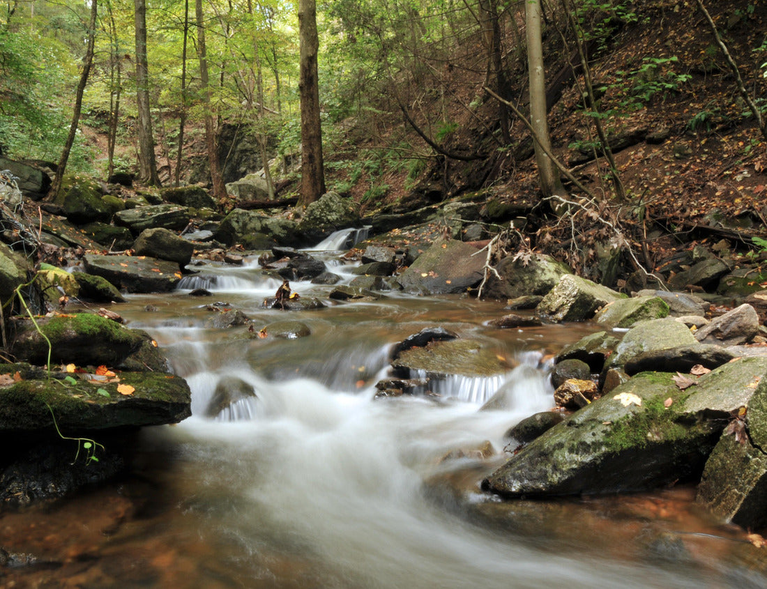 Noah Jigsaw Puzzle Indian Well Falls in Shelton, Connecticut on a fall day 1000 pieces