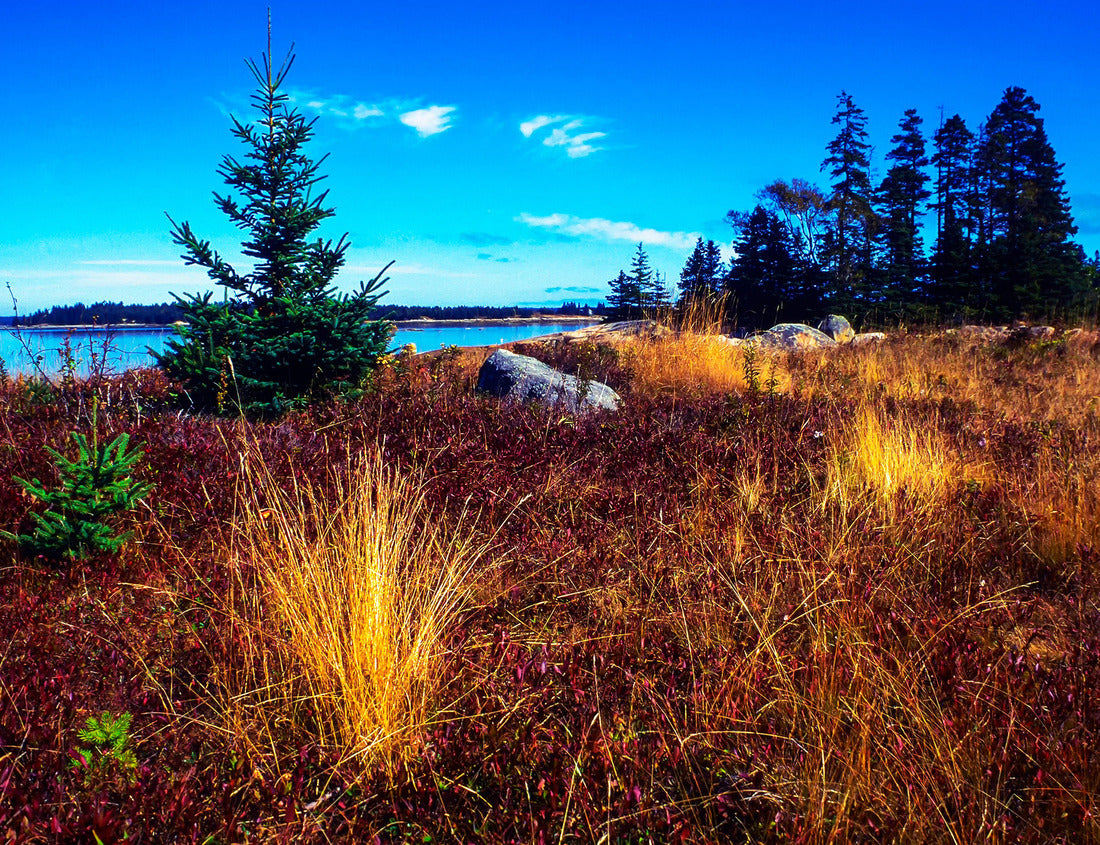 Noah Jigsaw Puzzle Deer Isle, Maine, Lobster Wharf, granite, autumn colors 1000 pieces