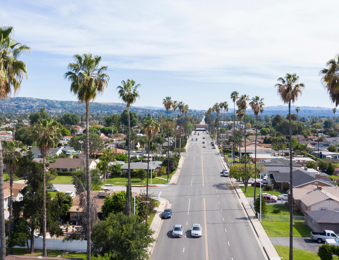 Noah Jigsaw Puzzle Daytime view of the city center of West Covina, California 1000 pieces