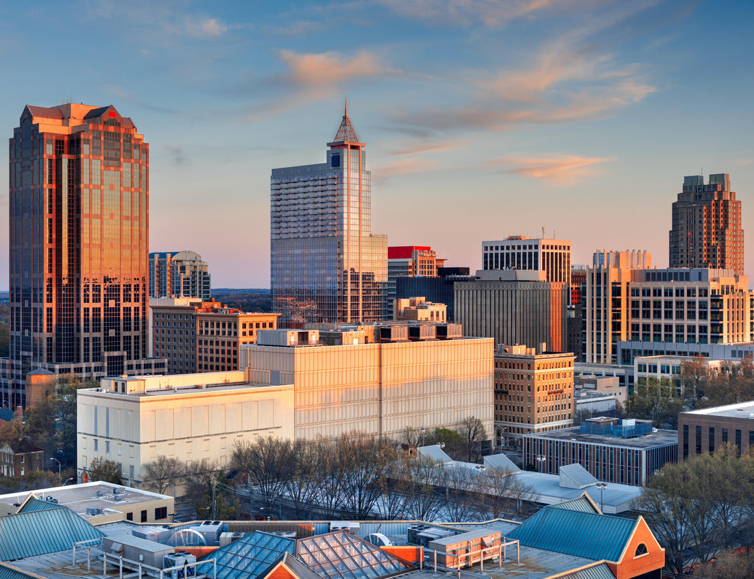 Noah Jigsaw Puzzle Raleigh, North Carolina, USA downtown city skyline at dusk 1000 pieces