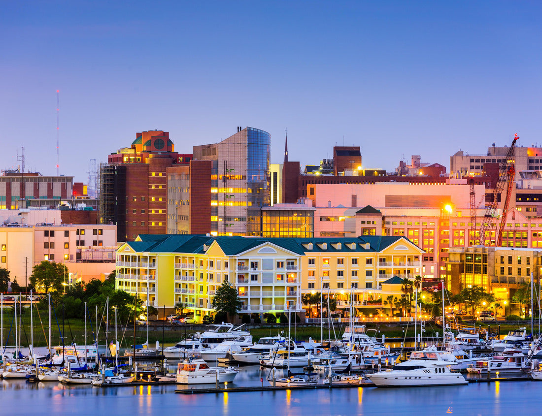 Noah Jigsaw Puzzle Charleston, South Carolina, USA skyline over the Ashley River 1000 pieces