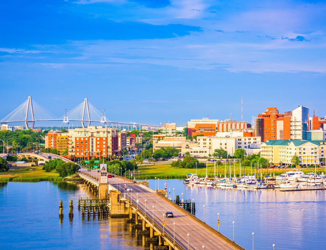Noah Jigsaw Puzzle Charleston, South Carolina, USA skyline over the Ashley River 1000 pieces