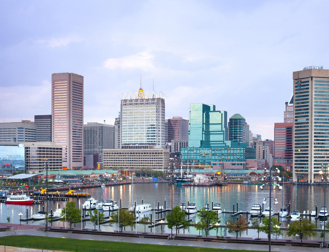 Noah Jigsaw Puzzle Downtown city skyline and Inner Harbor, Baltimore, Maryland, USA 1000 pieces