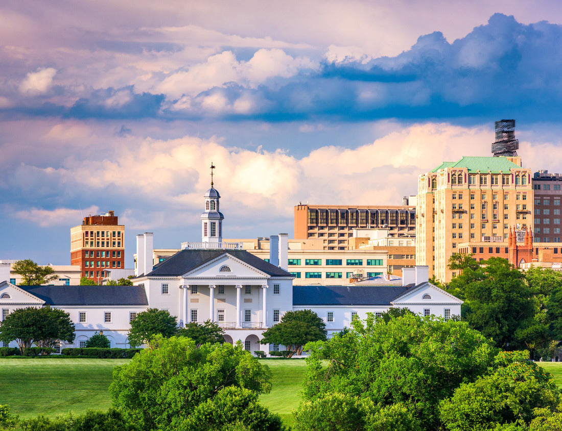 Noah Jigsaw Puzzle Richmond, Virginia, USA downtown cityscape and historic architecture 1000 pieces