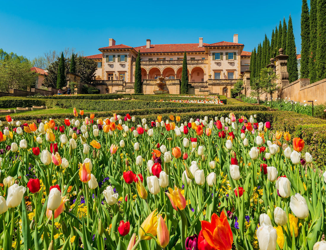 Noah Jigsaw Puzzle Beautiful landscape in the Philbrook Museum of Art at Tulsa, Oklahoma 1000 pieces