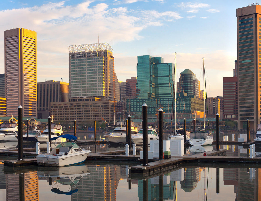 Noah Jigsaw Puzzle Downtown city skyline, Inner Harbor and marina, Baltimore, Maryland, USA 1000 pieces
