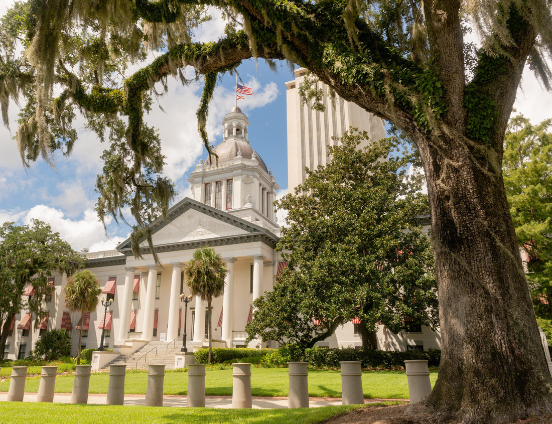 Noah Jigsaw Puzzle Blue Sky Behind White Clouds Over the State Capitol on Florida in Tallahassee 1000 pieces