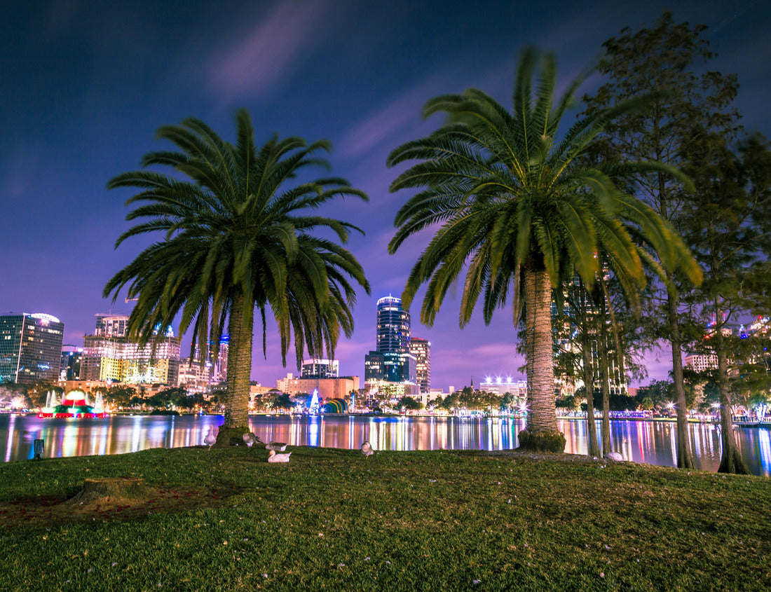 Noah Jigsaw Puzzle Night at Lake Eola Orlando, Florida. Long Exposure photography in a beautiful night 1000 pieces