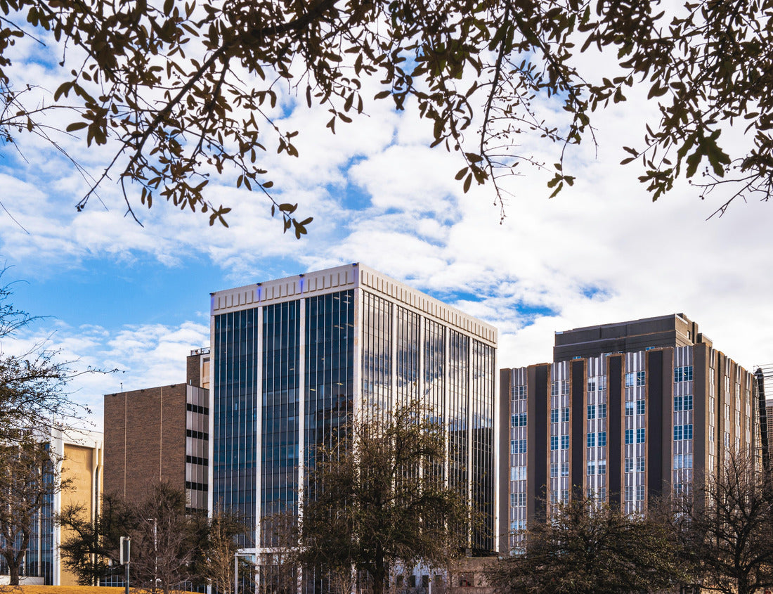 Noah Jigsaw Puzzle Midland Texas city skyline and downtown skyscrapers with dramatic cloudy blue sky and tree branches 1000 pieces