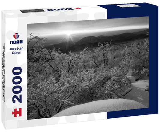 Noah Jigsaw Puzzle Rime ice lines the trees at sunrise in Shenandoah National Park, Virginia in black white 2000 pieces