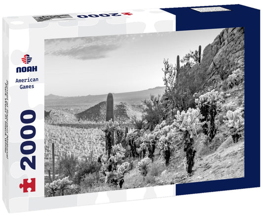 Noah Jigsaw Puzzle Sunset at Saguaro National Park West in black white 2000 pieces