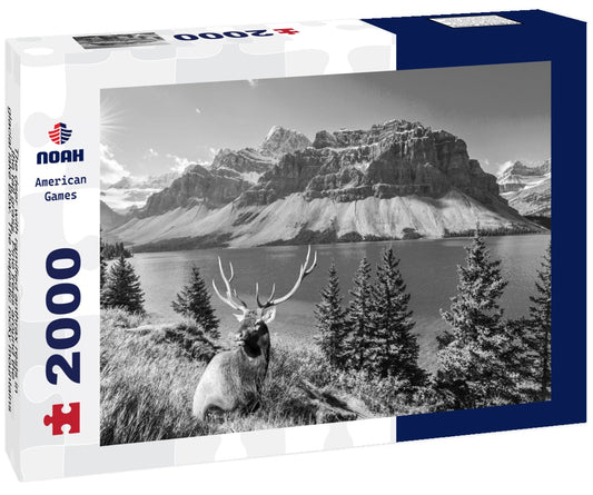 Noah Jigsaw Puzzle The deer with ramified anthrax rests in the tall grass. Pine trees around the glacial lake Bow. The majestic rocky mountains of Canada in black white 2000 pieces