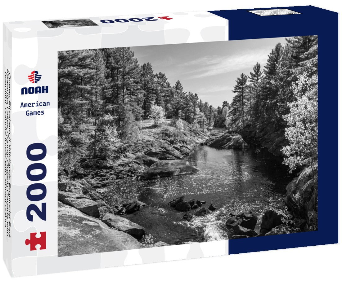 Noah Jigsaw Puzzle Queen Elizabeth II Wildlands Provincial Park Kawartha Lakes County Ontario Canada with beautiful, colorful forest with vibrant colors in the fall in black white 2000 pieces
