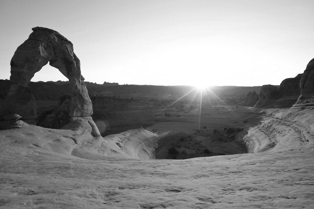 Noah Jigsaw Puzzle Delicate Arch in Arches National Park, Utah in black white 2000 pieces