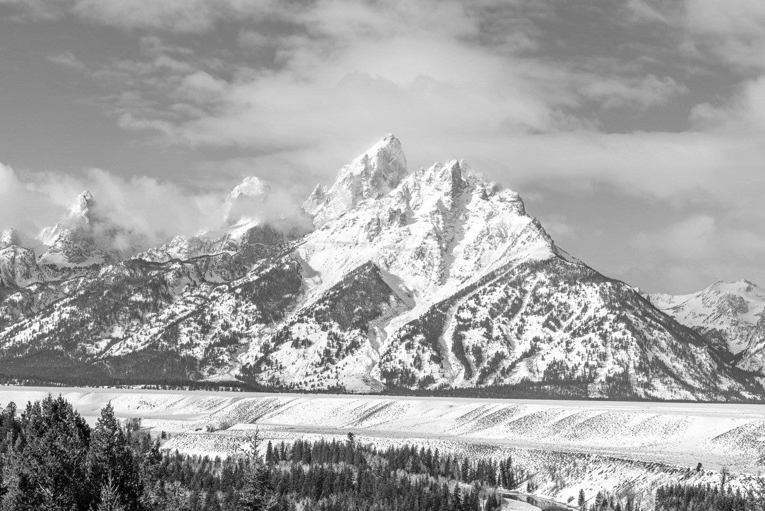 Noah Jigsaw Puzzle Winter Landscape in the Grand Teton National Park, Wyoming in black white 2000 pieces