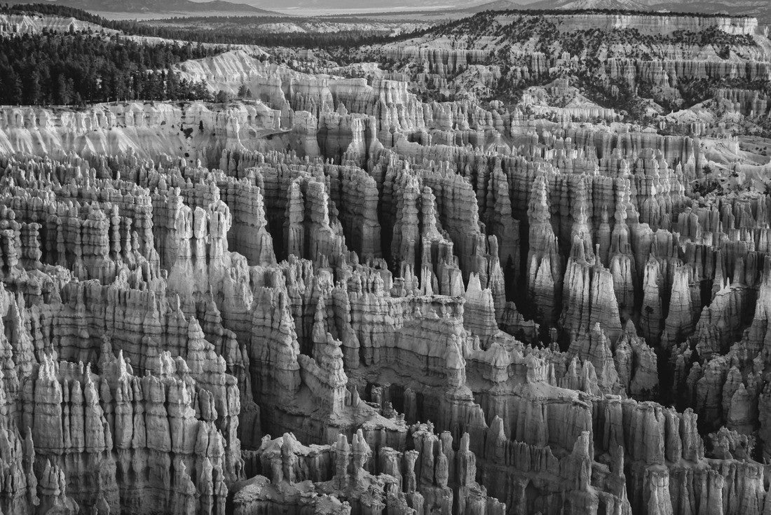 Noah Jigsaw Puzzle Bryce Canyon National Park in Utah Viewed from Inspiration Point at Sunrise in black white 2000 pieces