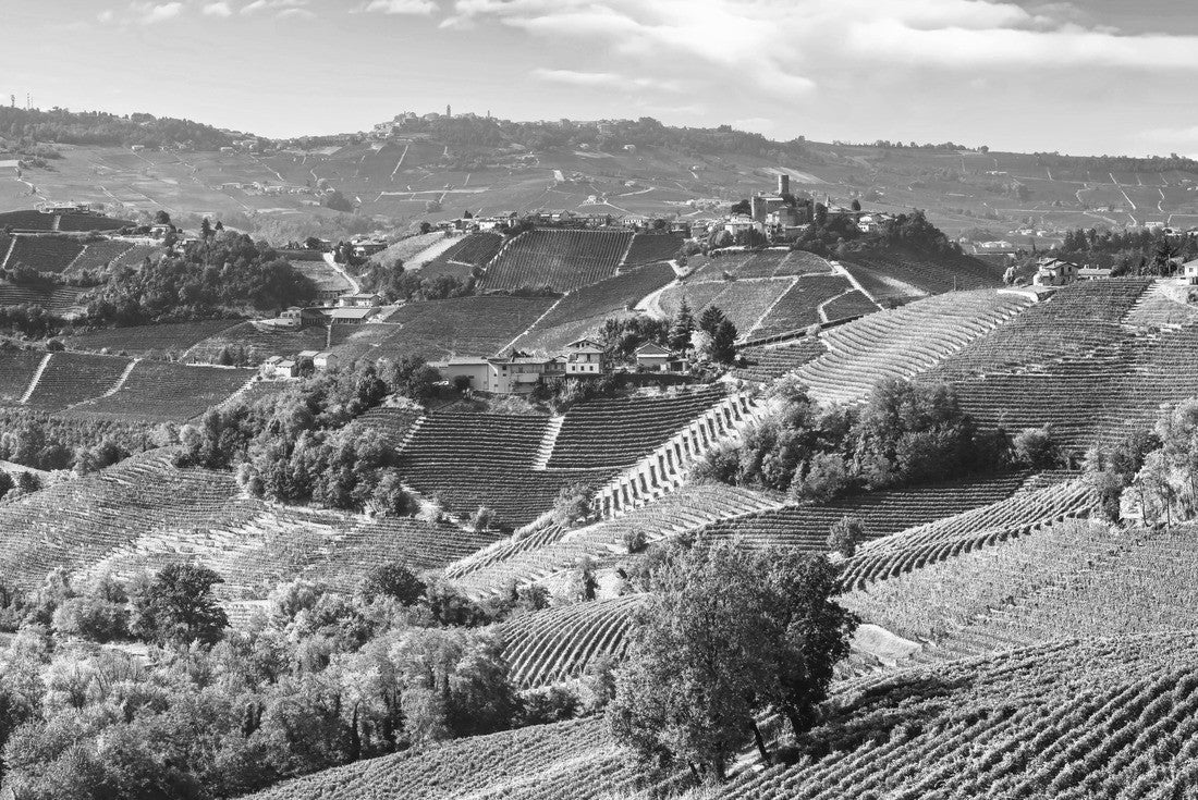 Noah Jigsaw Puzzle Langhe vineyards landscape and Castiglione Falletto village panorama, Unesco site, Piedmont, northern Italy in black white 2000 pieces