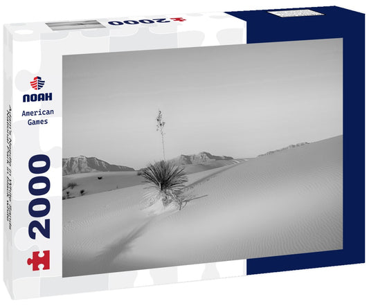 Noah Jigsaw Puzzle Adam's Needle in White Sands National Park in black white 2000 pieces