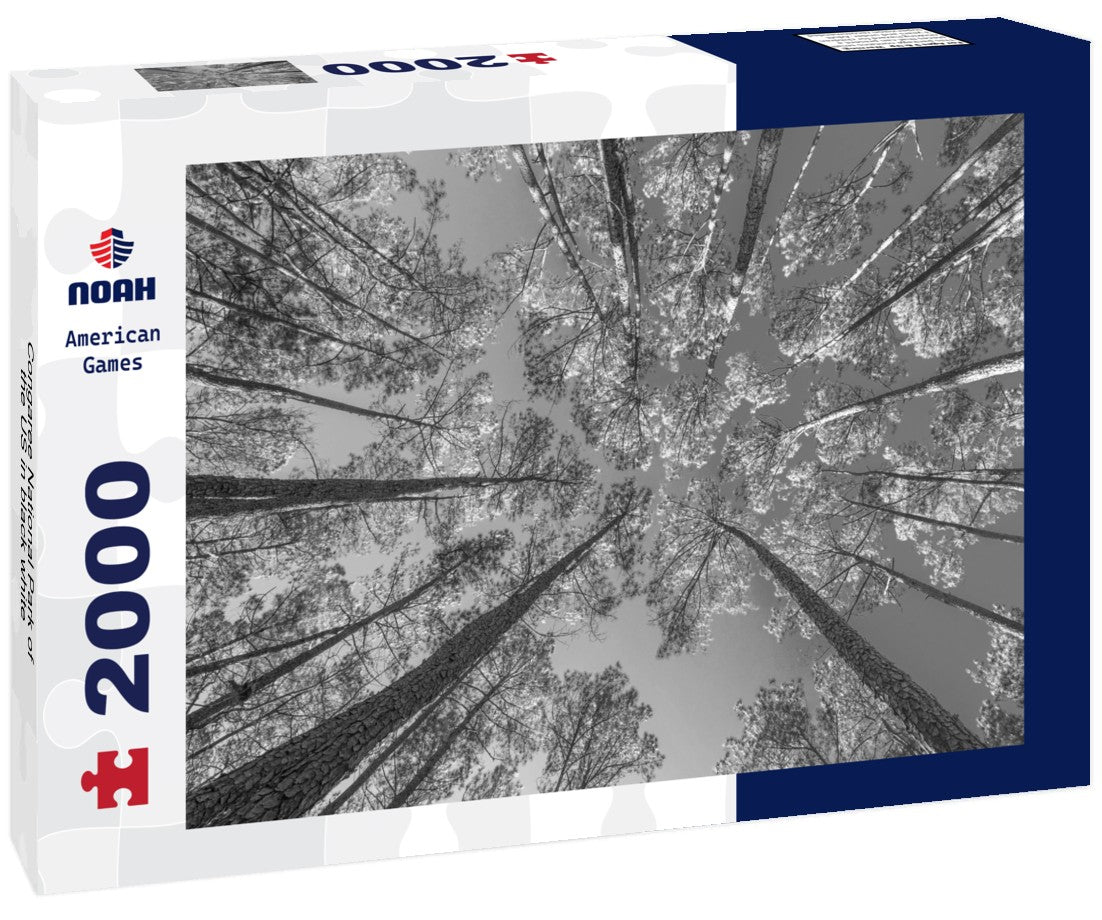 Noah Jigsaw Puzzle Congaree National Park of the US in black white 2000 pieces