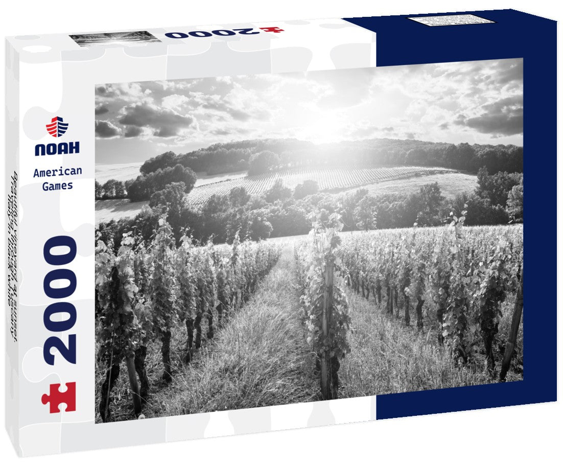 Beautiful vineyard at sunset. Traveling through Tuscany, Italy 2000pc PuzzleBlack and White