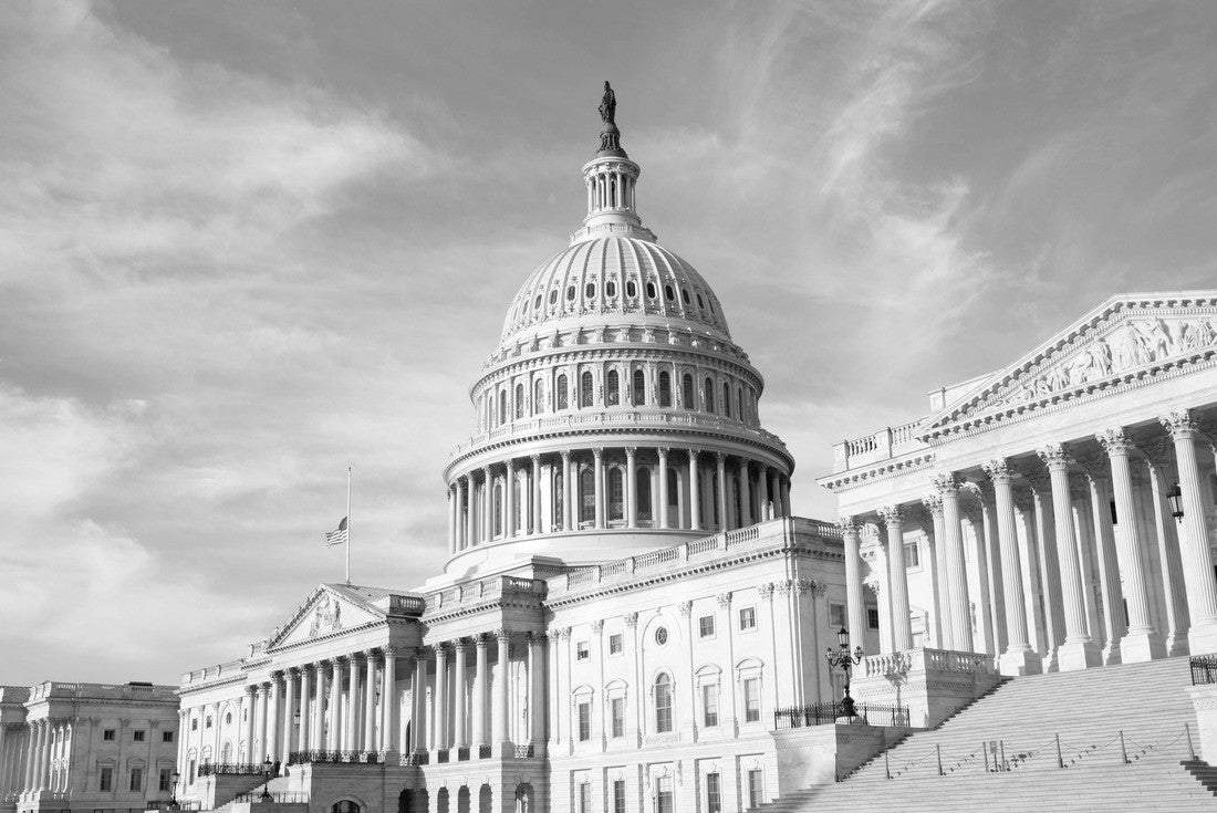 Landmarks around Washington DC includes Capitol Building, Supreme Court, Washington monument, national mall 2000pc PuzzleBlack and White