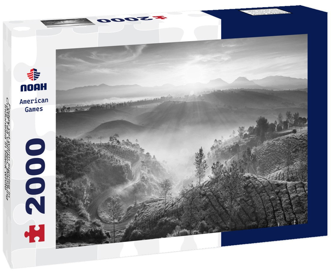 Noah Jigsaw Puzzle Foggy yet warm sunrise in Cukul Tea Garden, Bandung, Indonesia in black white 2000 pieces