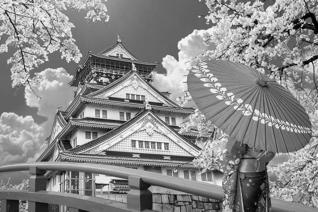 Noah Jigsaw Puzzle Asian woman wearing japanese traditional kimono looking at cherry blossoms and castle in Osaka, Japan in black white 2000 pieces