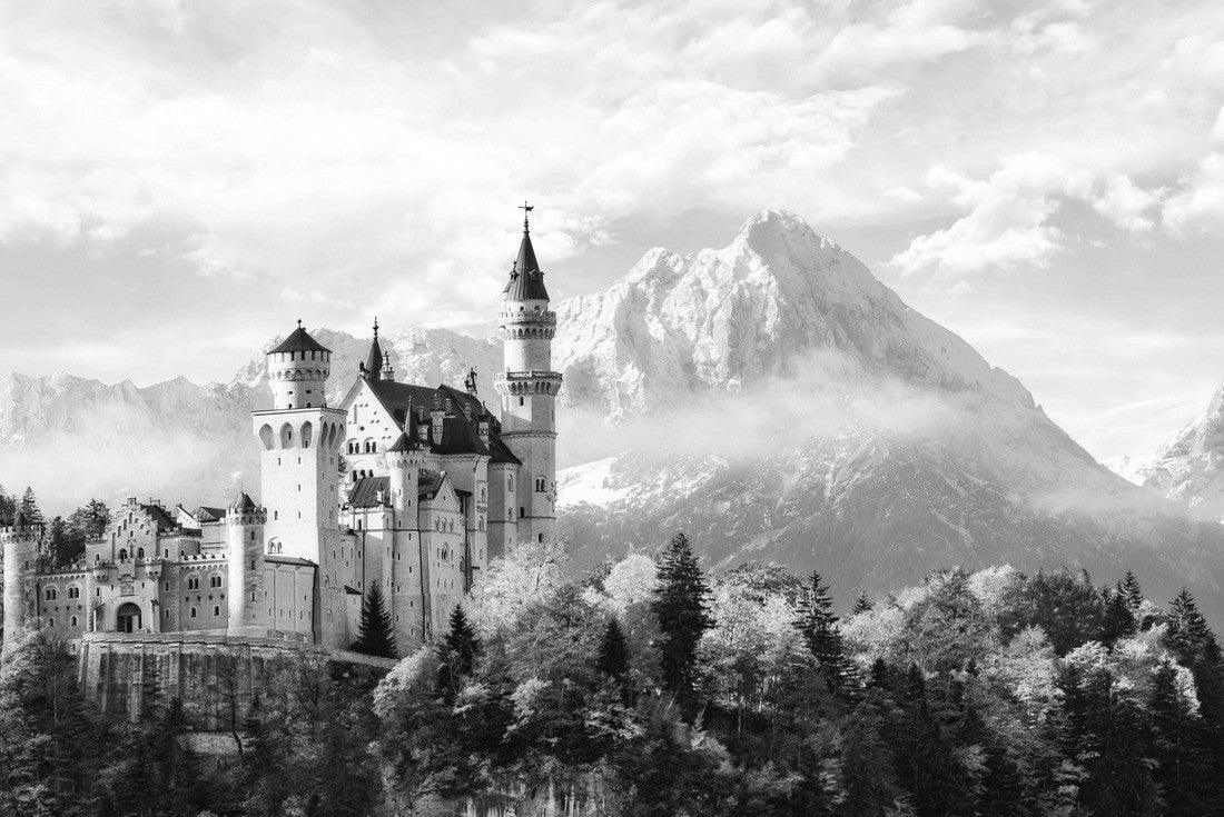 Beautiful view of Neuschwanstein Castle in the Bavarian Alps, Germany 2000pc PuzzleBlack and White