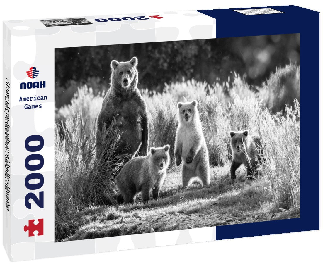 Brown bear family next to the Brooks River, fall landscape, Katmai National Park, Alaska 2000pc PuzzleBlack and White