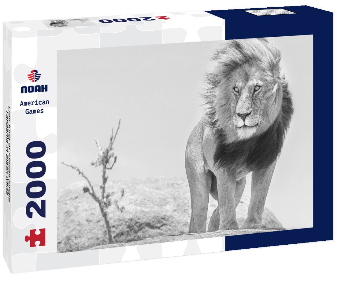 Noah Jigsaw Puzzle Lion King of African jungle, Tanzania in black white 2000 pieces