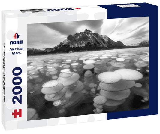 Noah Jigsaw Puzzle Ice formation bubbles at Abraham Lake in black white 2000 pieces