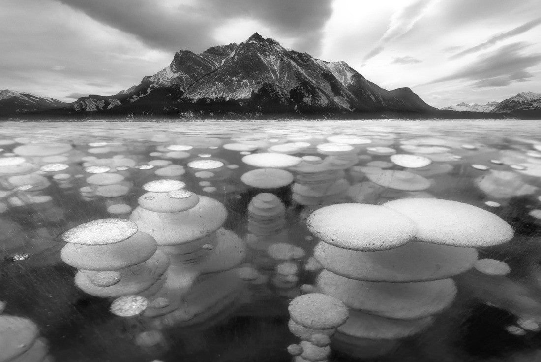 Noah Jigsaw Puzzle Ice formation bubbles at Abraham Lake in black white 2000 pieces