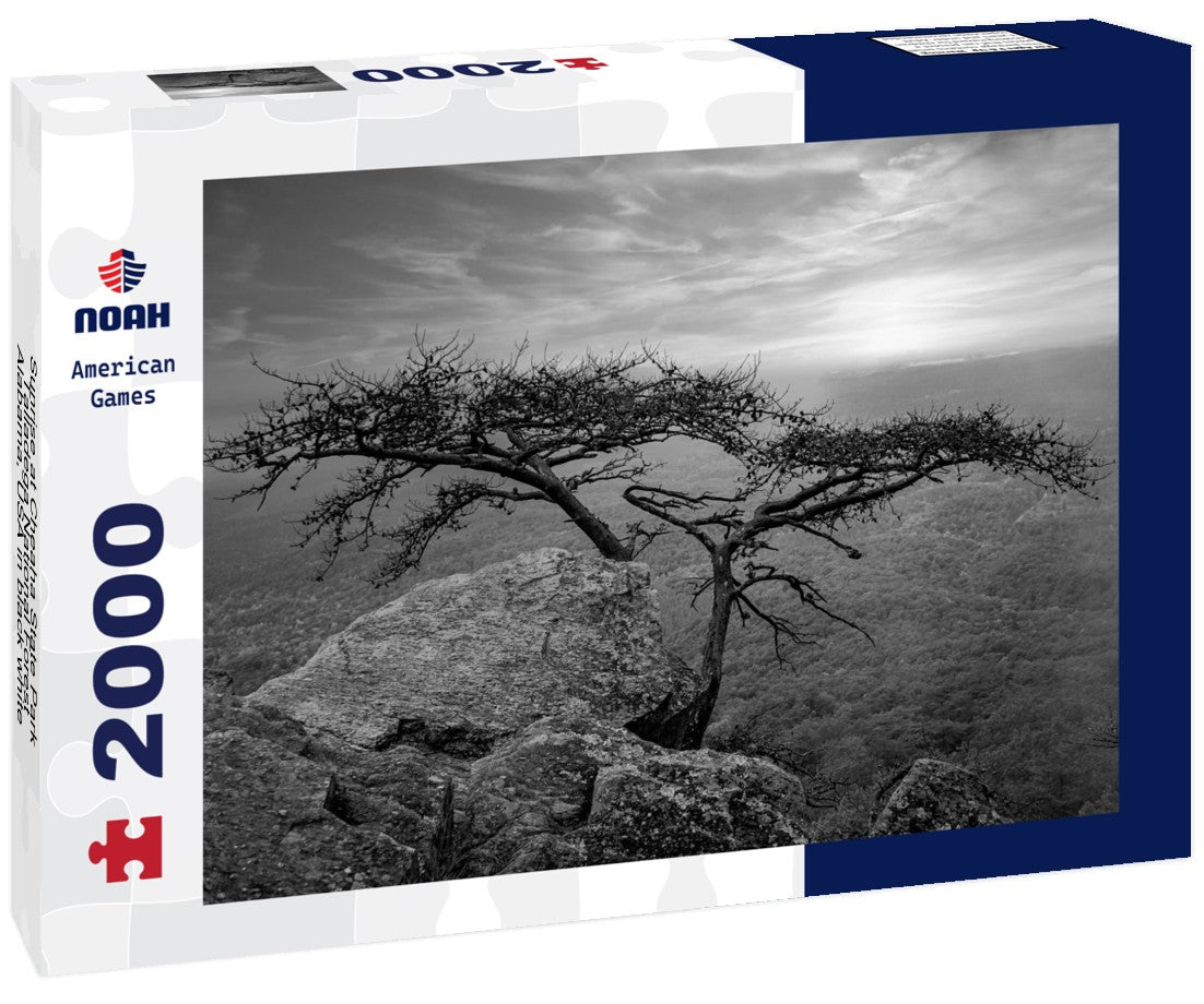Sunrise at Cheaha State Park, Talladega National Forest, Alabama, USA 2000pc PuzzleBlack and White